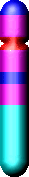 Chromozom Y