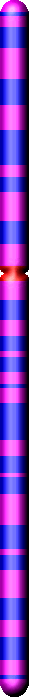 Chromozom 2